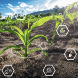 Smart Agriculture Technology Improves Global Agriculture Productivity